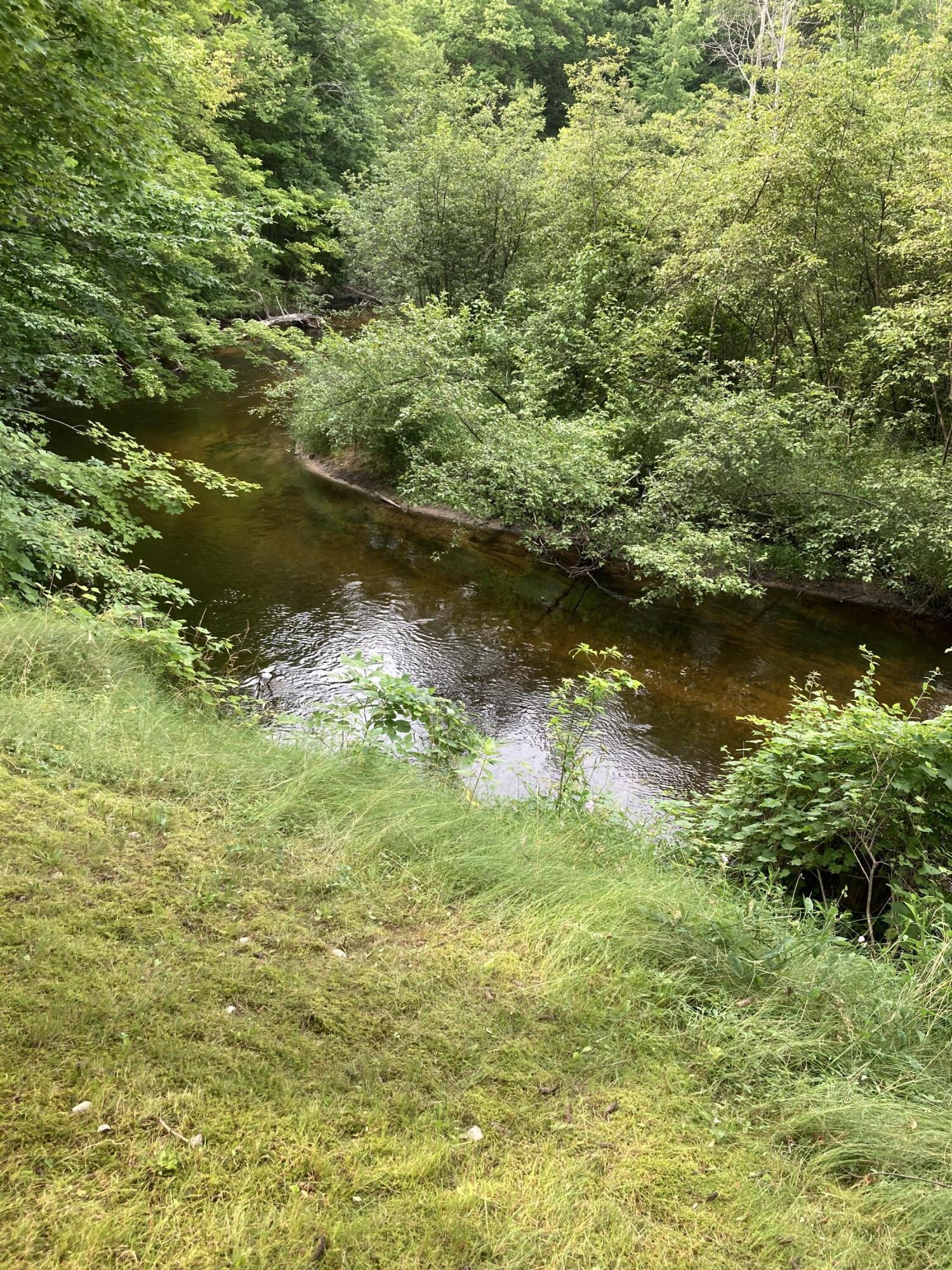18753 Rapids Road Thompsonville, MI 49683 - Photo 46 of 46 river