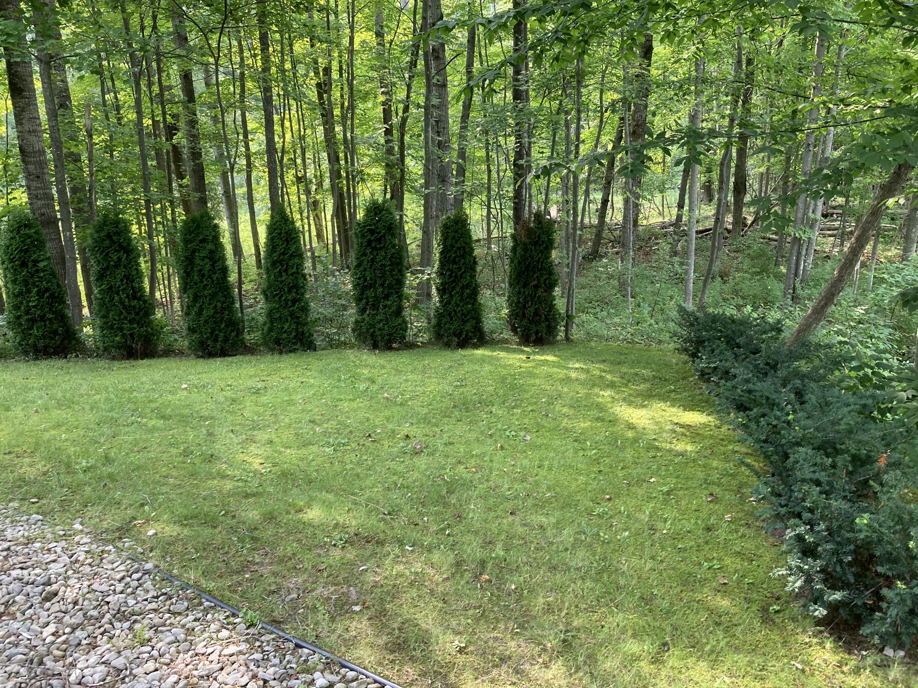 18753 Rapids Road Thompsonville, MI 49683 - Photo 8 of 46 facing river off hot tub