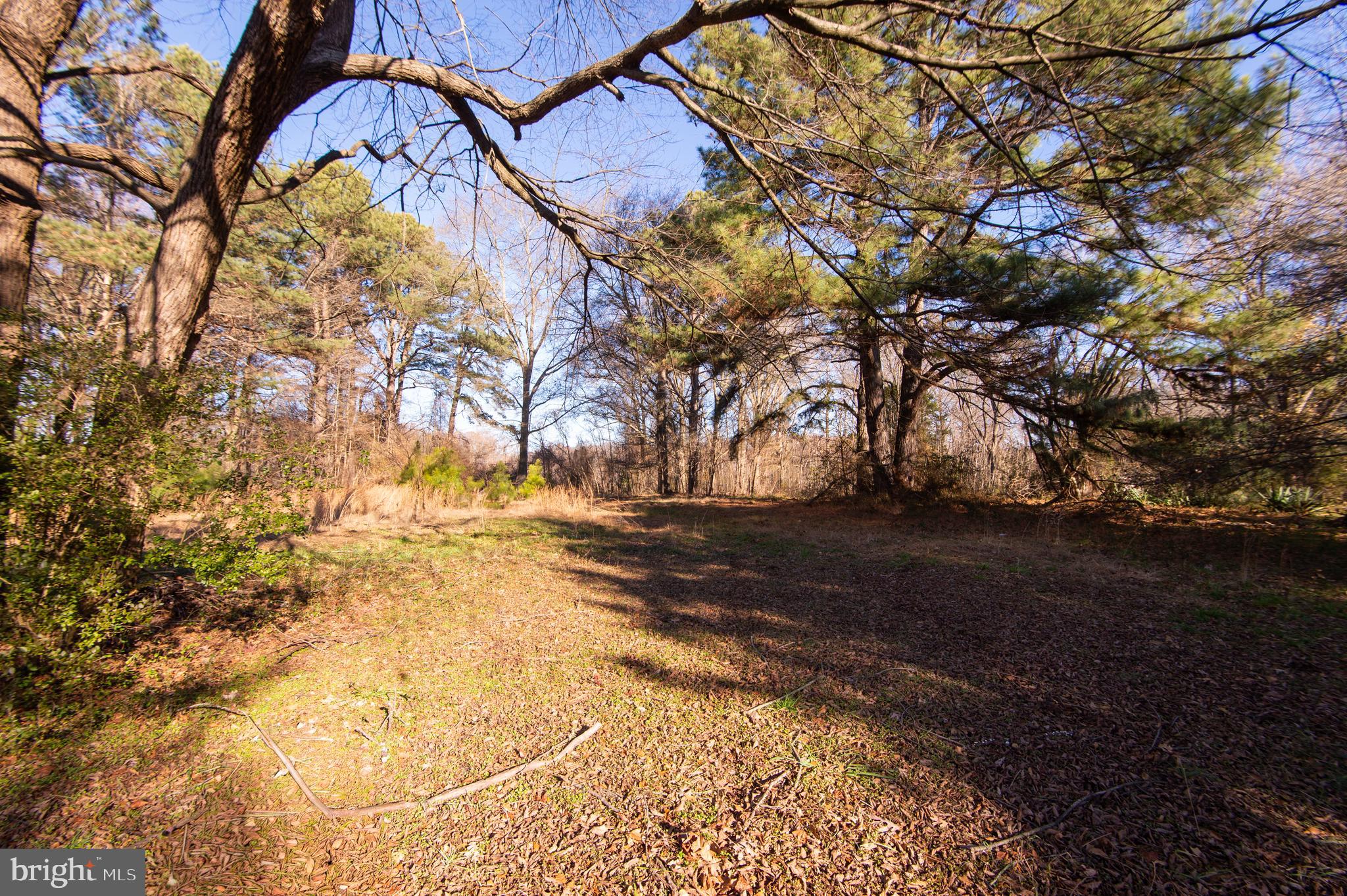 11145 Laurel Road Laurel, DE 19956 - Photo 28 of 30