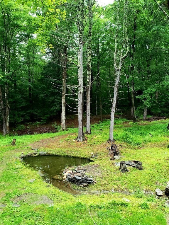 250 S Road Heath, MA 01346 - Photo 2 of 28 a view of a backyard with a small pool
