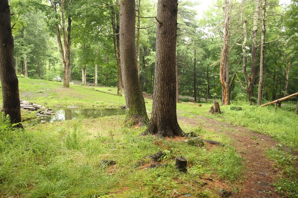 250 S Road Heath, MA 01346 - Photo 26 of 28 a view of backyard with green space