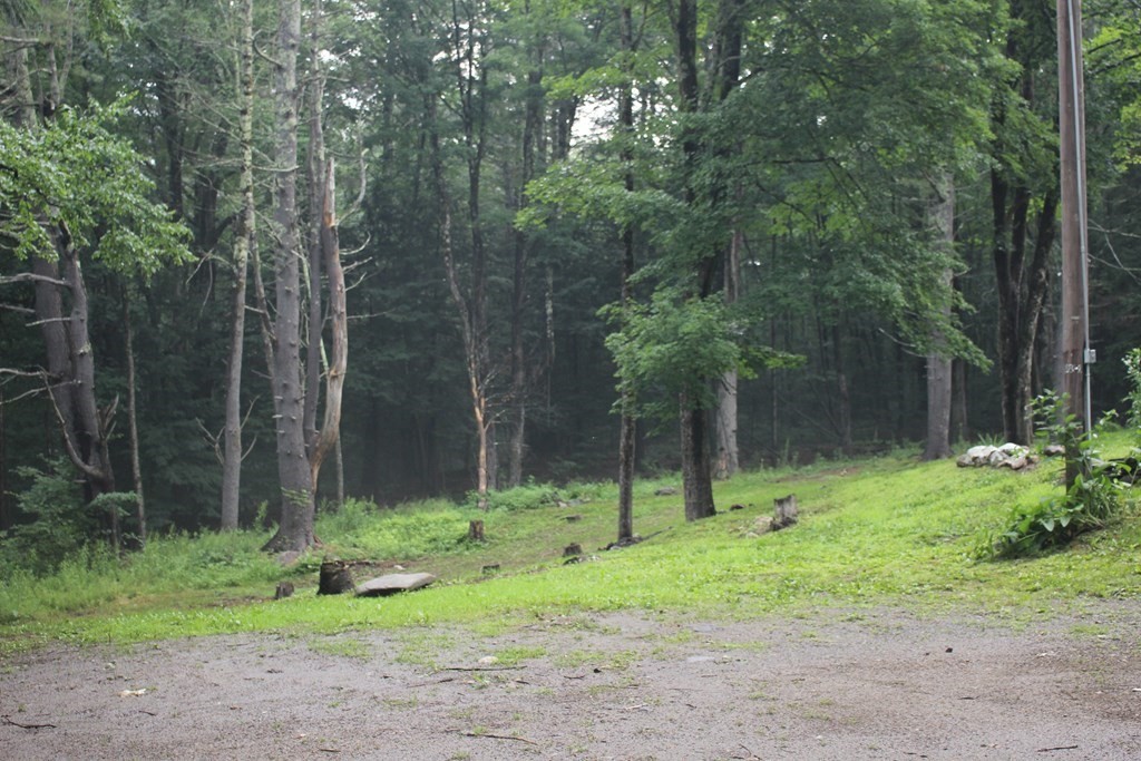 250 S Road Heath, MA 01346 - Photo 27 of 28 a view of a tree in a yard