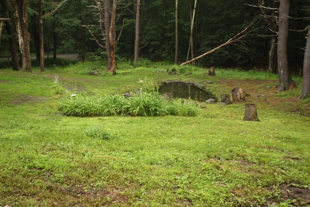 250 S Road Heath, MA 01346 - Photo 4 of 28 a view of a backyard