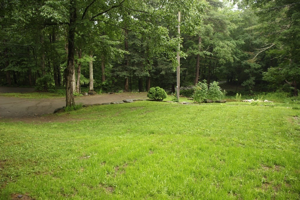 250 S Road Heath, MA 01346 - Photo 6 of 28 a view of a park with large trees