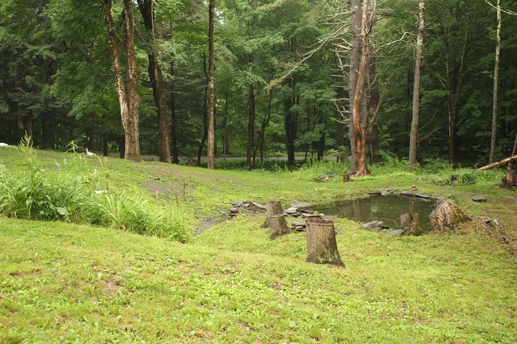 250 S Road Heath, MA 01346 - Photo 10 of 28 a backyard of a house with a yard and swimming pool