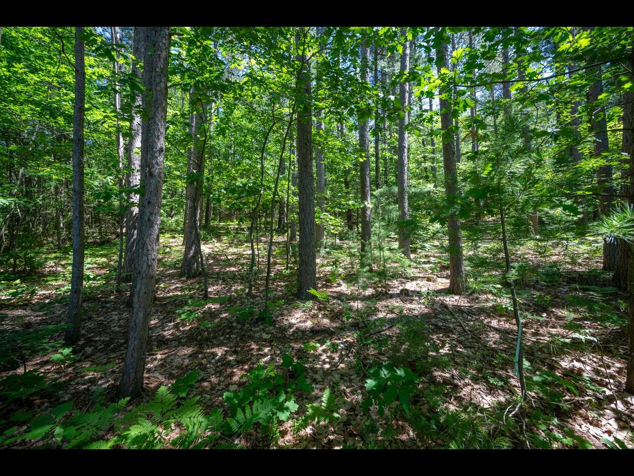 1-2 Carlson Road Land O'Lakes, WI 54540 - Photo 13 of 31 Gallery Image 13