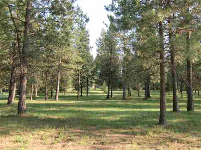 91 Woodard Road Newport, WA 99156 - Photo 9 of 9 Gallery Image 9