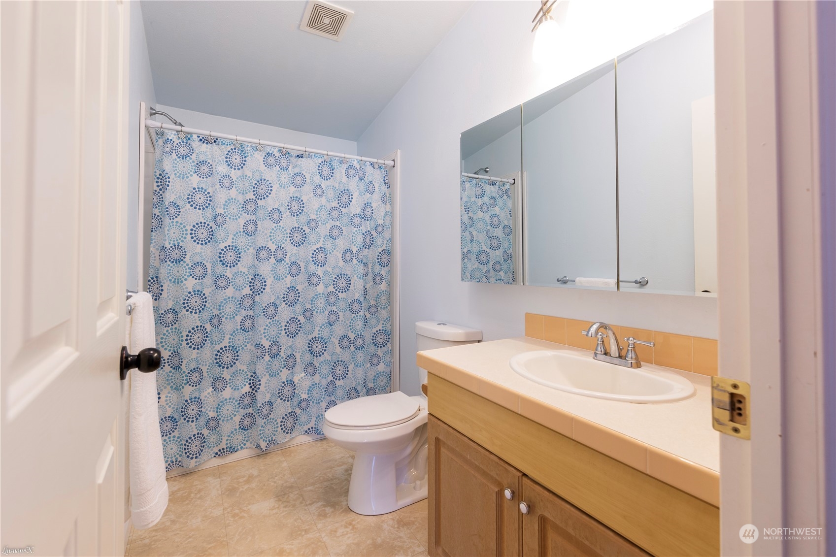 9138 176th Avenue Southwest Rochester, WA 98579 - Photo 4 of 25 a bathroom with a sink toilet and shower