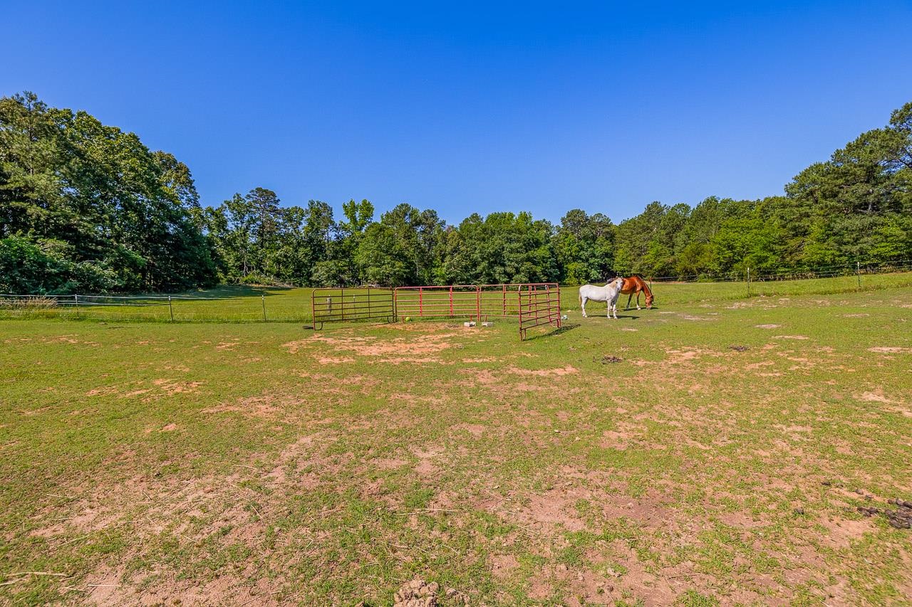 902 Blackstock Road Pauline, SC 29374 - Photo 31 of 35