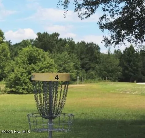 $294,999 | 410 Driftwood Drive, Unit LOT 4, Richlands, NC 28574