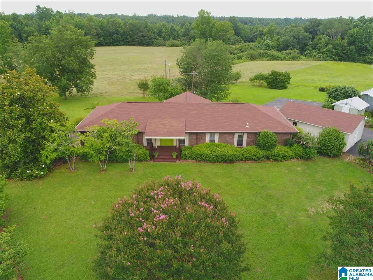 1670 Dutton Hill Road Oakman, AL 35579 - Photo 6 of 44