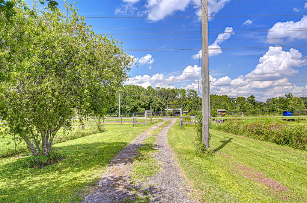 43650 County Road 54 East Kathleen, FL 33849 - Photo 4 of 72 a view of a yard with swimming pool