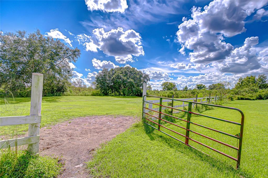 43650 County Road 54 East Kathleen, FL 33849 - Photo 44 of 72 a view of a garden with an outdoor space