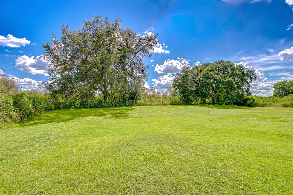 43650 County Road 54 East Kathleen, FL 33849 - Photo 50 of 72