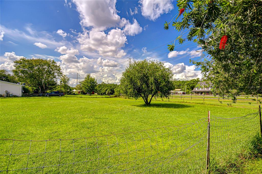 43650 County Road 54 East Kathleen, FL 33849 - Photo 5 of 72 a view of a fountain in front of a house with a big yard