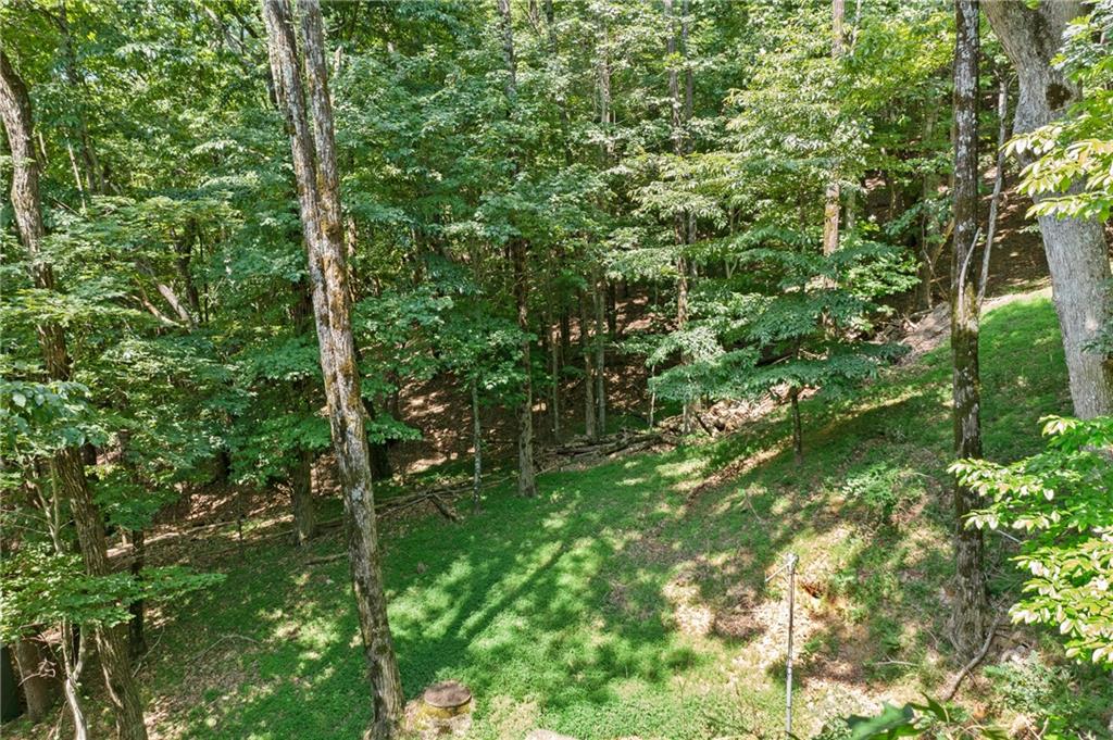 37 Petit Ridge Drive Big Canoe, GA 30143 - Photo 13 of 28