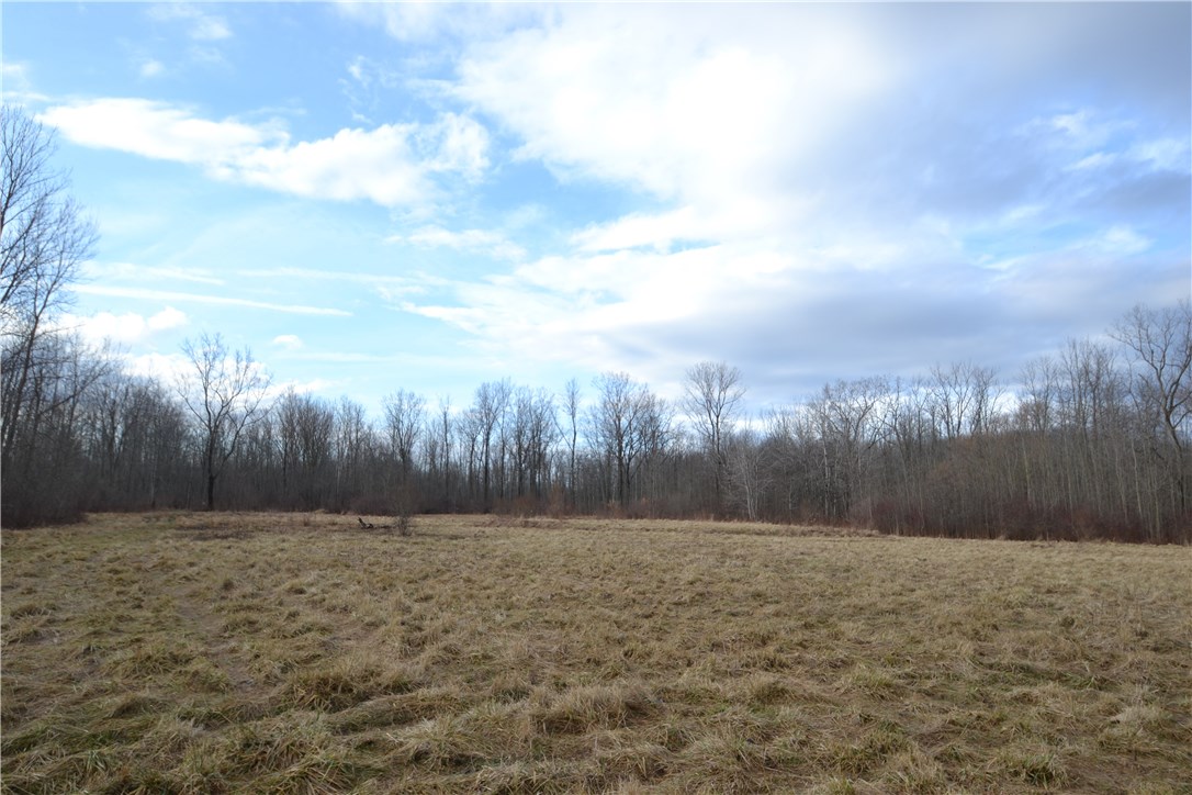 598 Berg Road Ontario, NY 14519 - Photo 1 of 1 Gallery Image 1