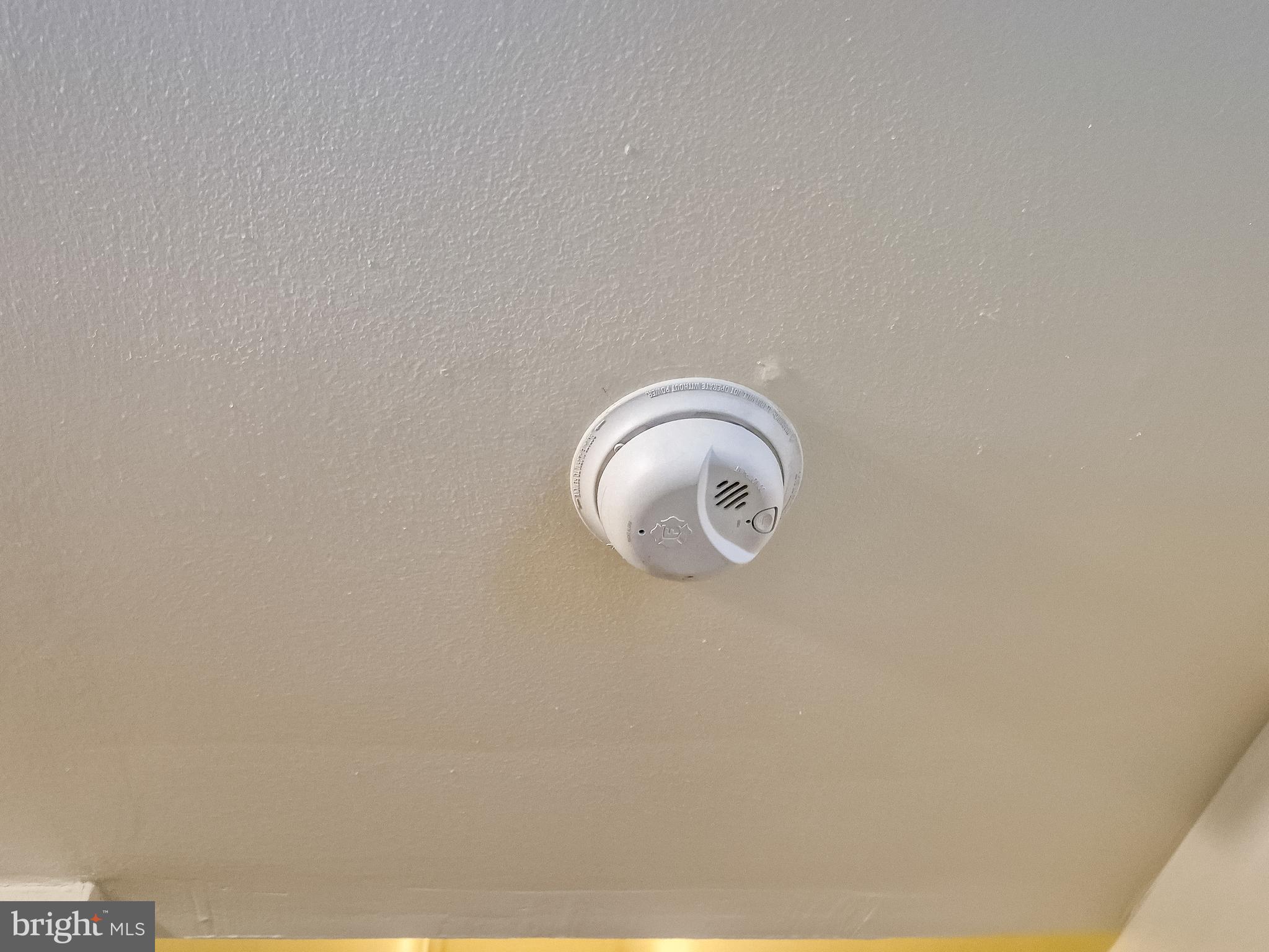 814 Center Street Cambridge, MD 21613 - Photo 12 of 17