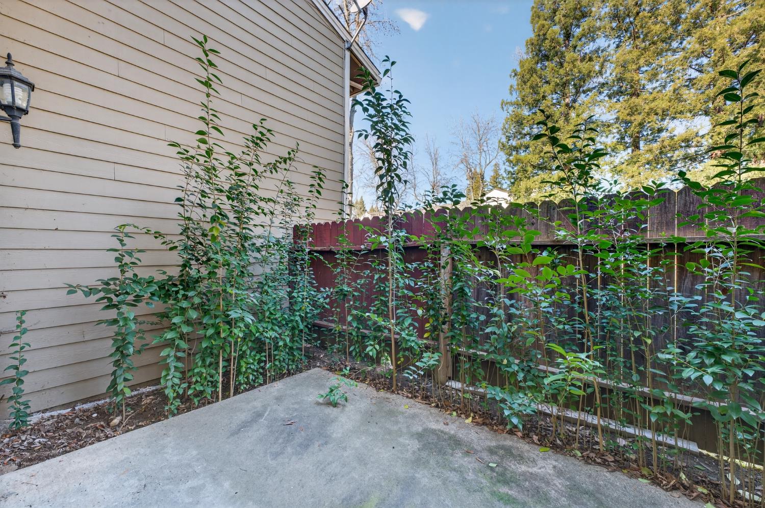6146 Shadow Lane Citrus Heights, CA 95621 - Photo 25 of 45 a backyard of a house with lots of green space