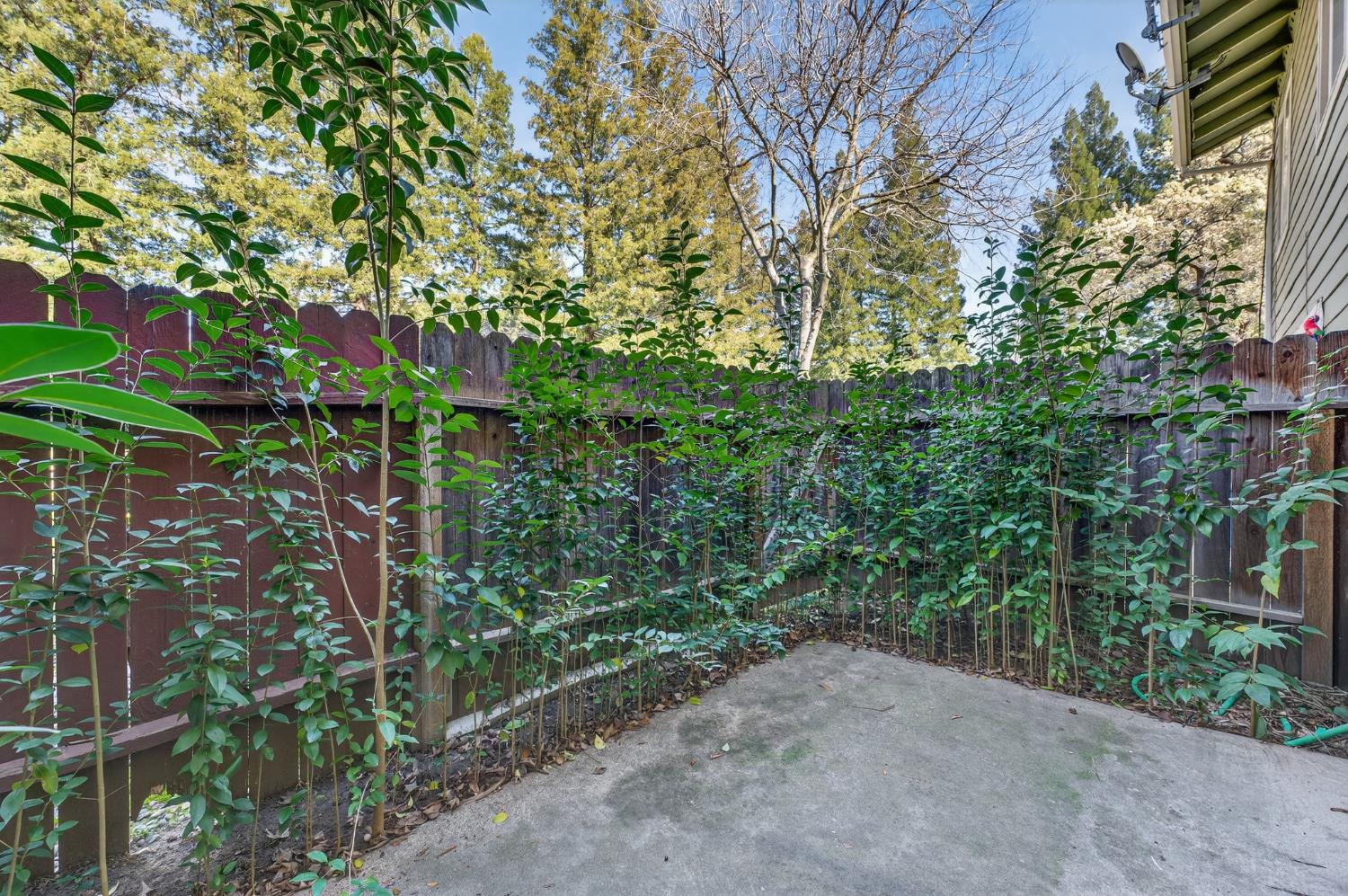 6146 Shadow Lane Citrus Heights, CA 95621 - Photo 26 of 45 a backyard of a house with lots of green space and a fountain