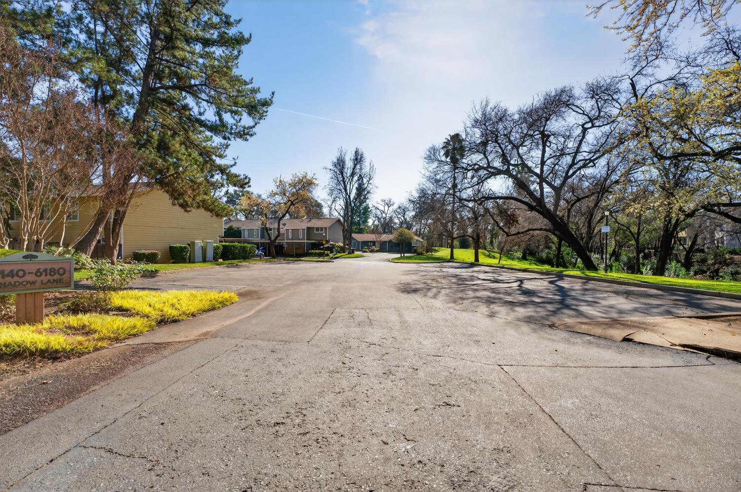 6146 Shadow Lane Citrus Heights, CA 95621 - Photo 44 of 45 a view of yard with swimming pool and trees