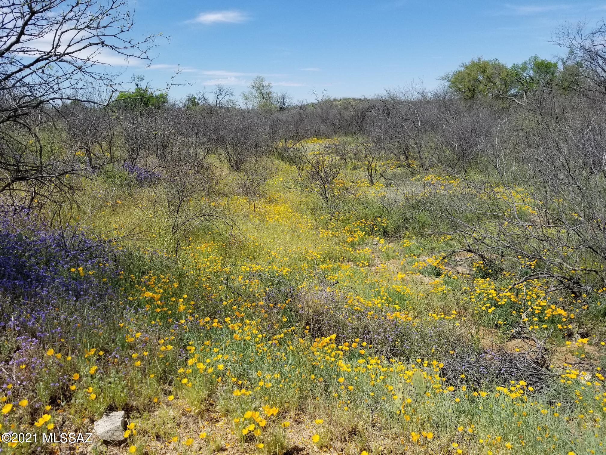 6802 East Colossal Cave Road South Vail, AZ 85641 - Photo 8 of 12