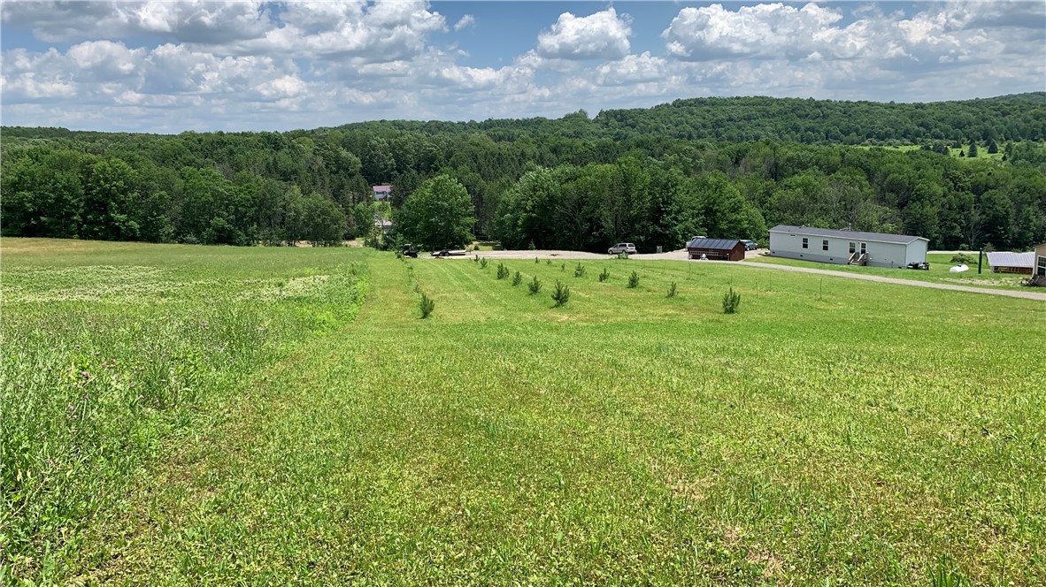 667 Boos Law Road Smyrna, NY 13464 - Photo 33 of 50