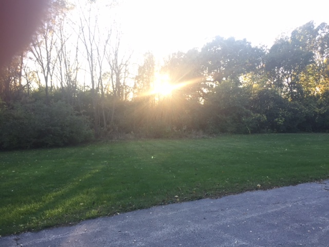 128 Old Dundee Road Barrington Hills, IL 60010 - Photo 15 of 18