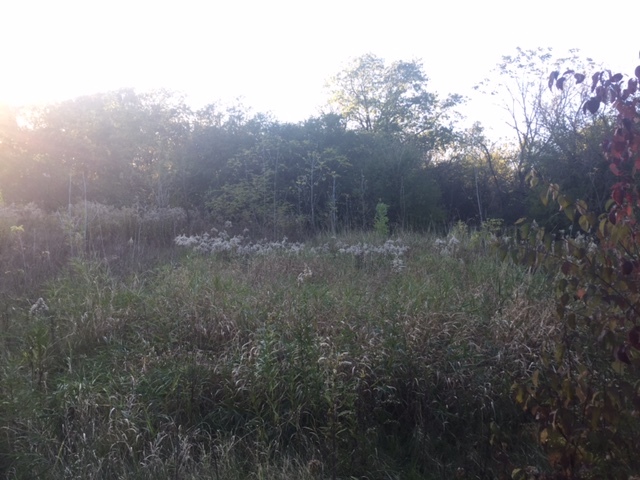 128 Old Dundee Road Barrington Hills, IL 60010 - Photo 17 of 18