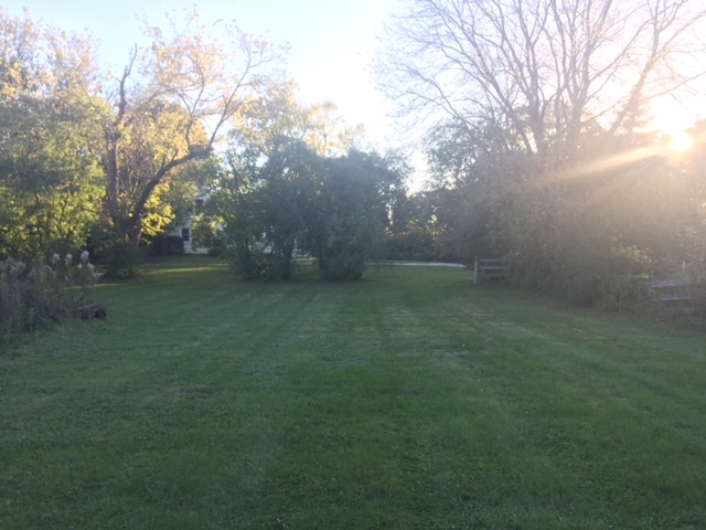 128 Old Dundee Road Barrington Hills, IL 60010 - Photo 18 of 18