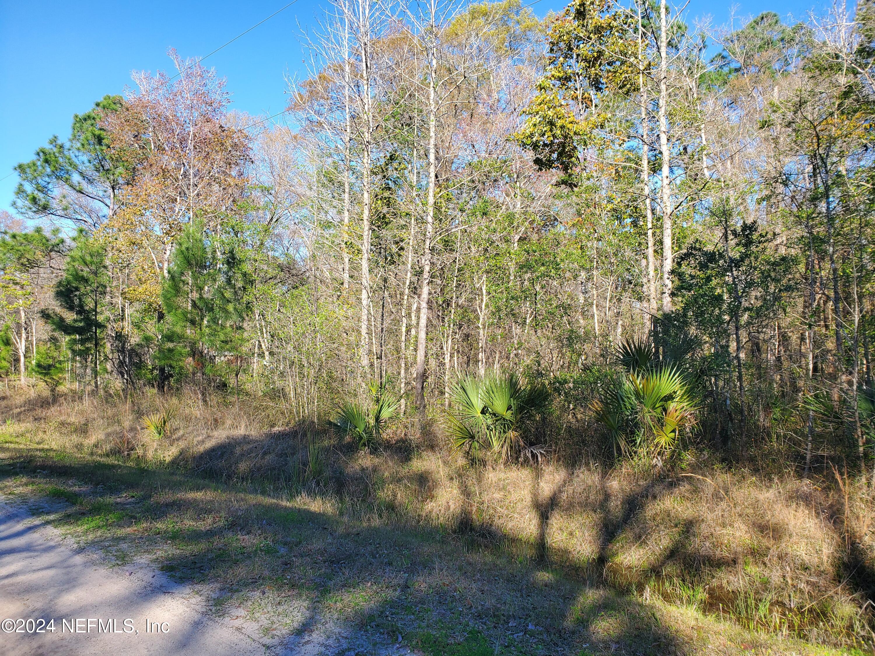 10440 Ruth Avenue Hastings, FL 32145 - Photo 2 of 3 Ruth_20240222_160056