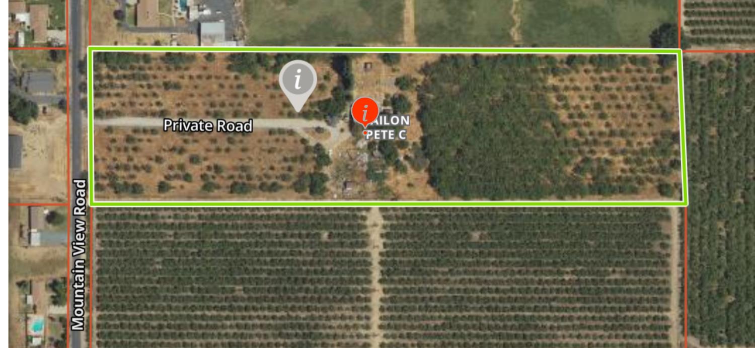 Older walnut trees have been removed