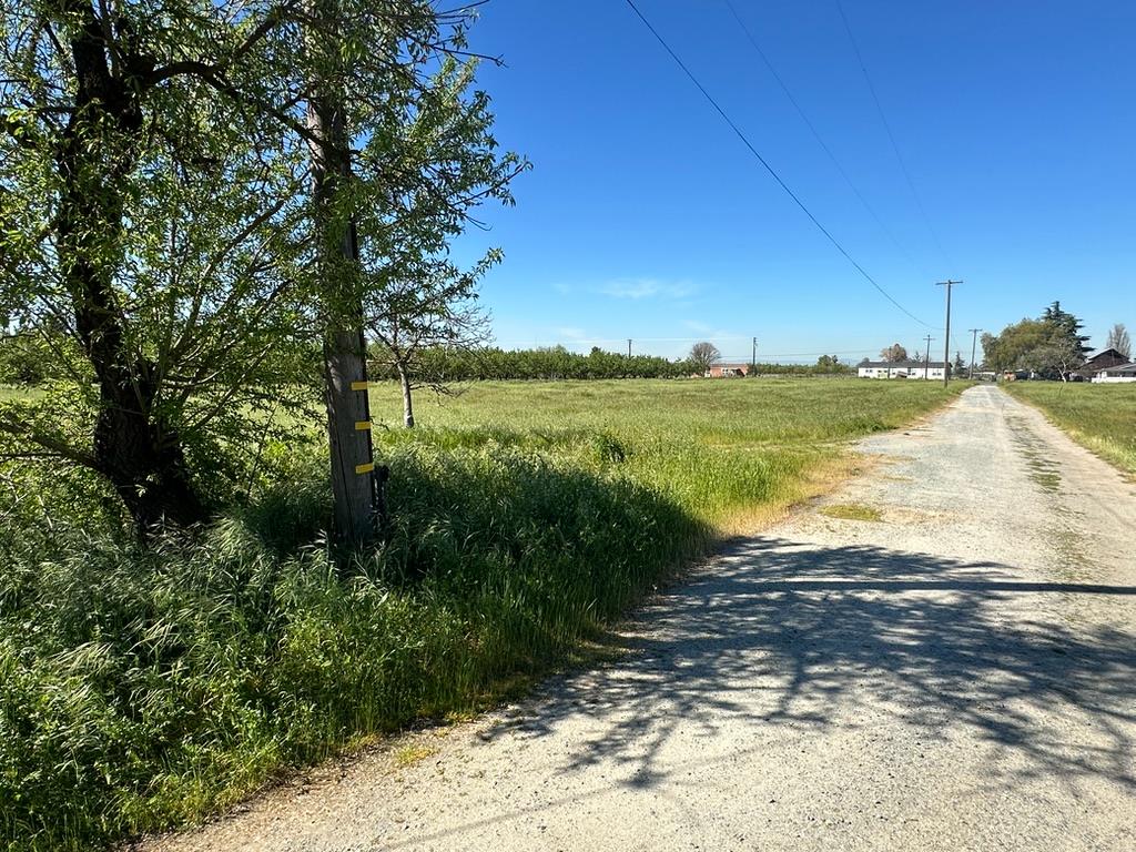 4518 Mountain View Road Hughson, CA 95326 - Photo 7 of 8 Driveway looking out to Mountain View Road