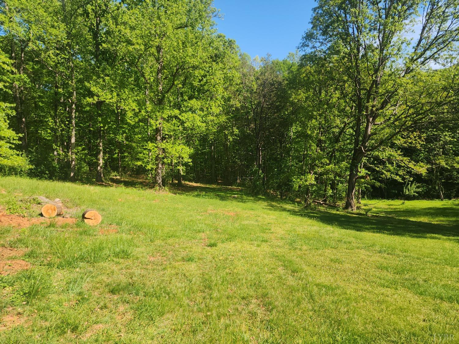 172 Mill Lane Road Lynchburg, VA 24503 - Photo 2 of 2 Gallery Image 2