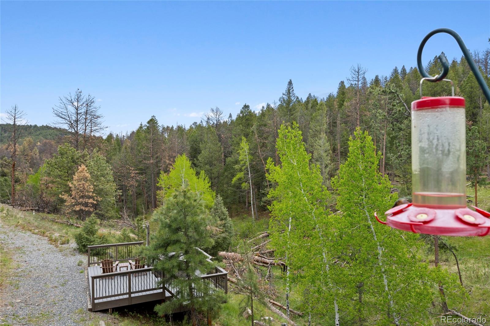 504 Broken Arrow Road Evergreen, CO 80439 - Photo 30 of 38