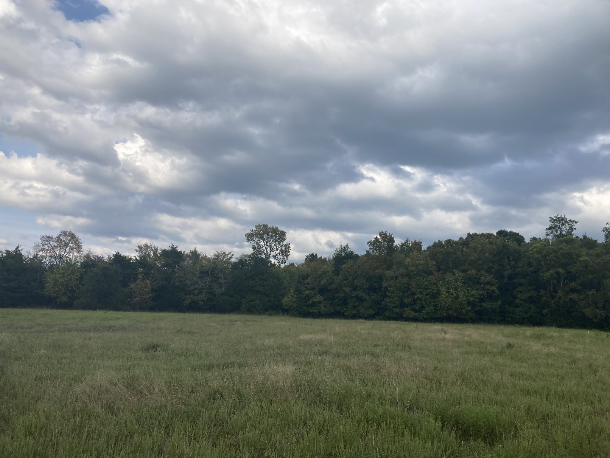 0 Versailles Road Murfreesboro, TN 37128 - Photo 2 of 3 a view of a big yard with large trees