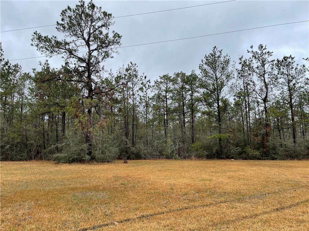 606 C C Road Ragley, LA 70657 - Photo 18 of 21 Gallery Image 18