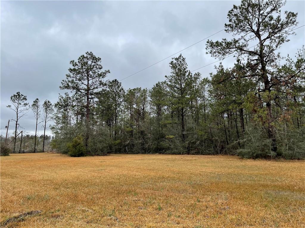 606 C C Road Ragley, LA 70657 - Photo 19 of 21 Gallery Image 19