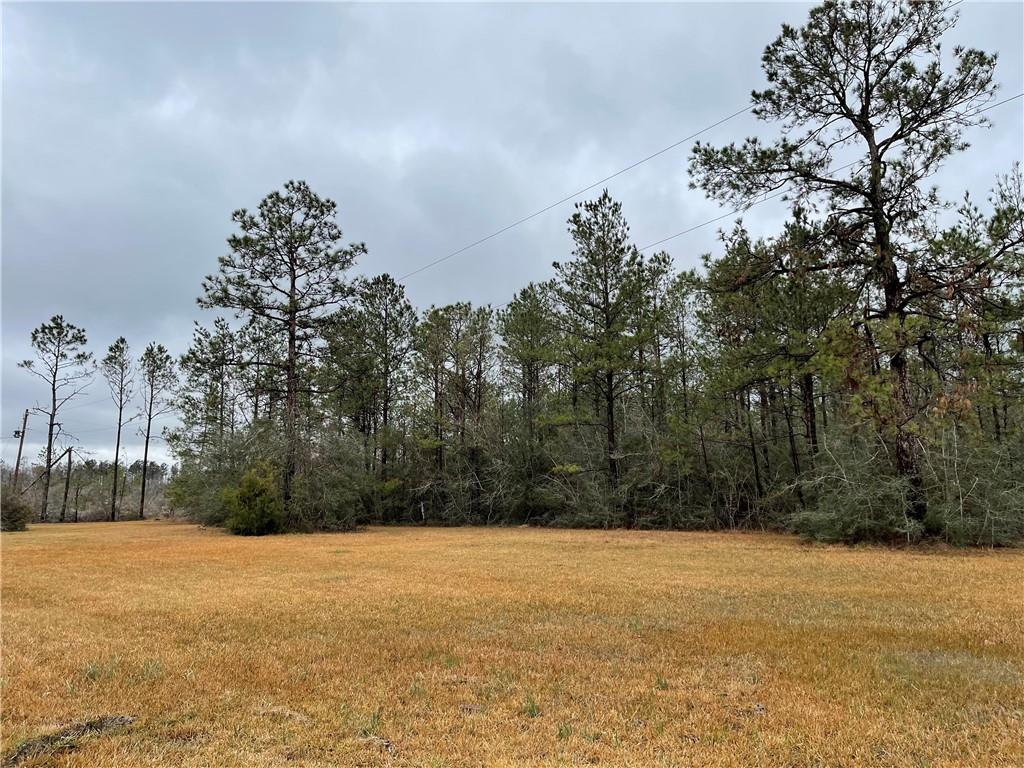 606 C C Road Ragley, LA 70657 - Photo 20 of 21 Gallery Image 20