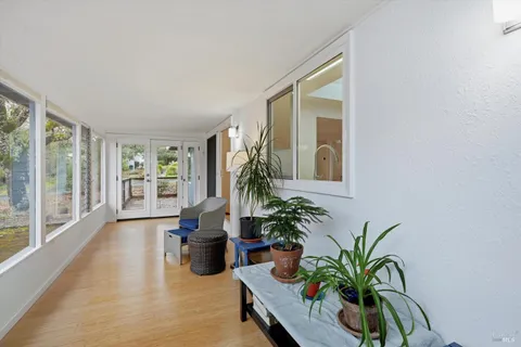 a living room with furniture potted plant and windows