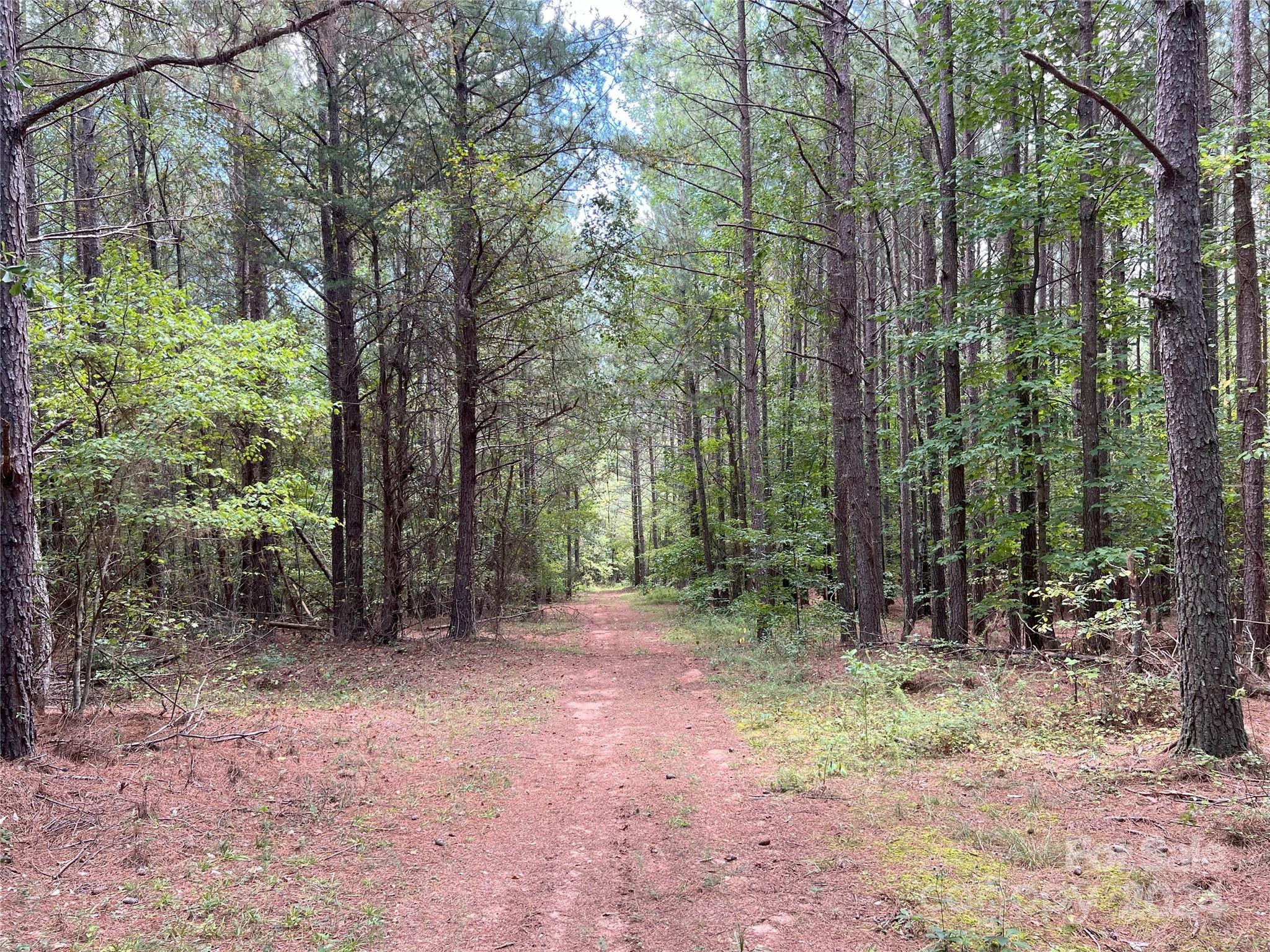 5 Stroud Road Ellenboro, NC 28040 - Photo 11 of 44