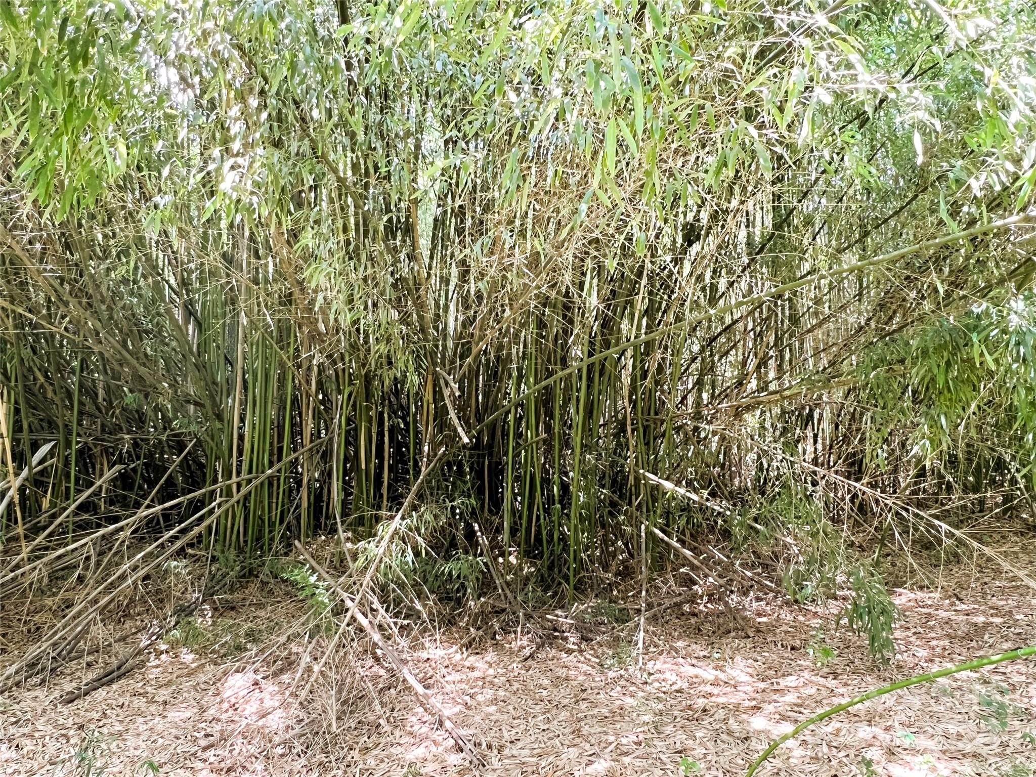 5 Stroud Road Ellenboro, NC 28040 - Photo 13 of 44