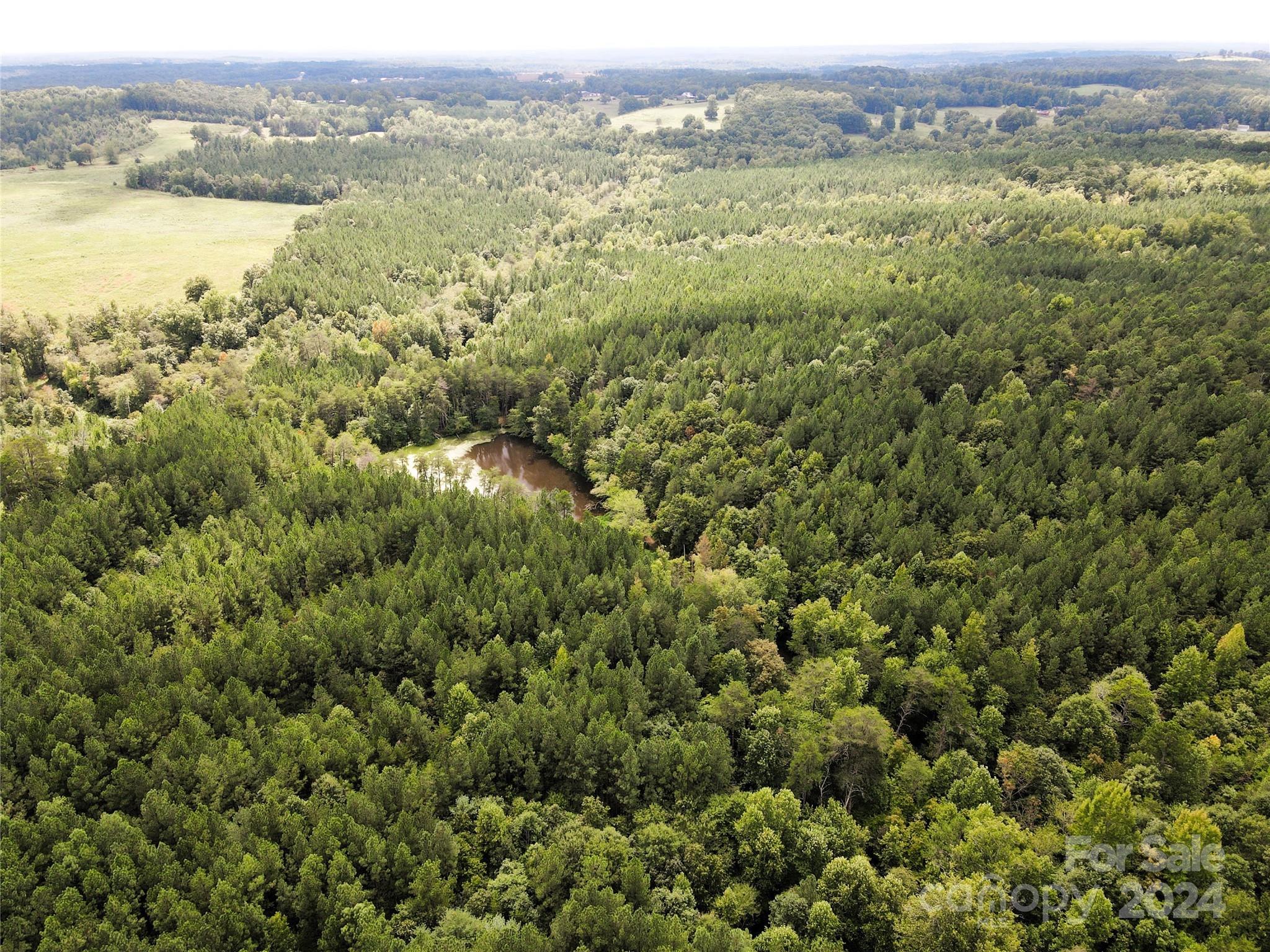 5 Stroud Road Ellenboro, NC 28040 - Photo 20 of 44