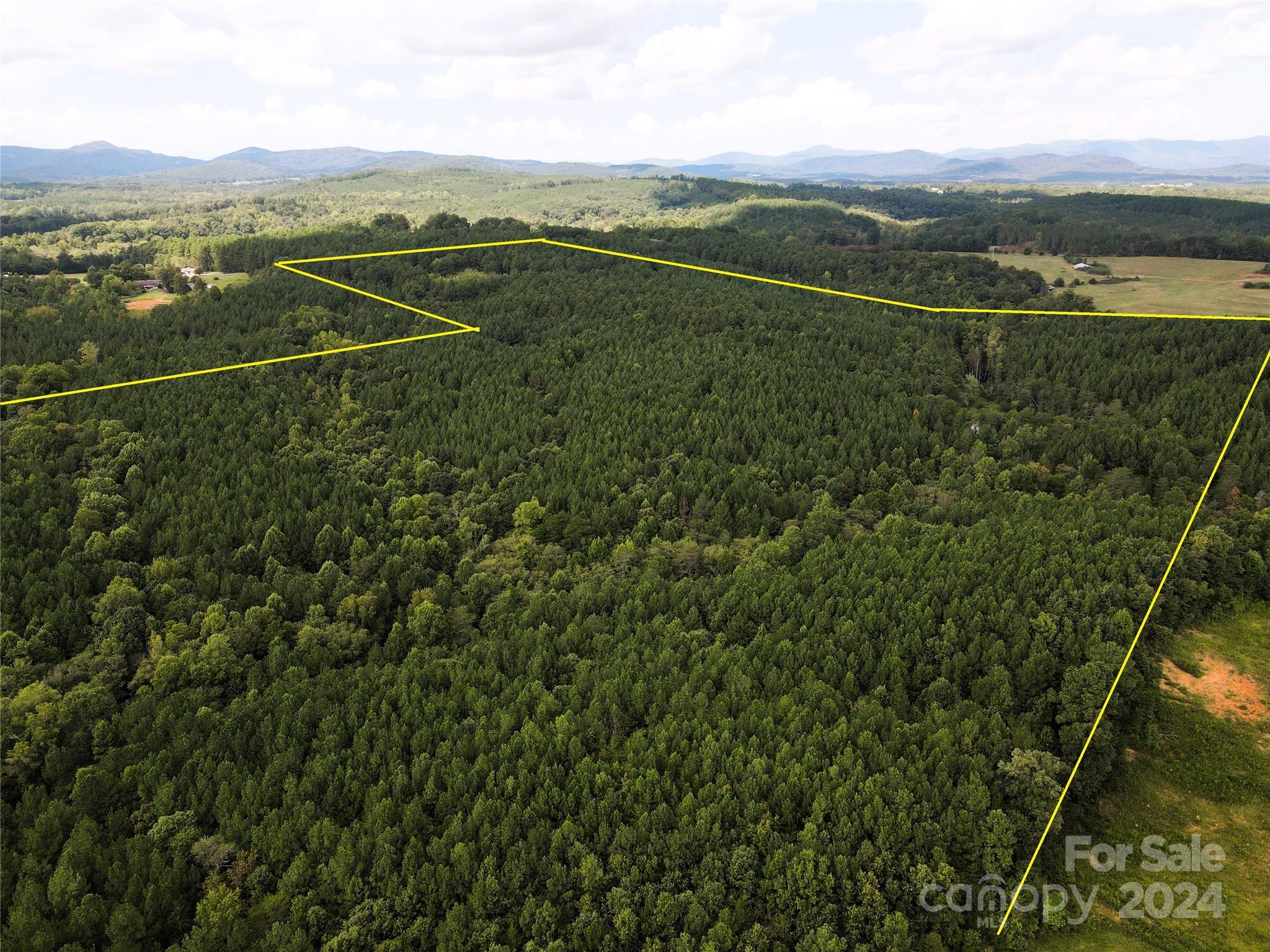 5 Stroud Road Ellenboro, NC 28040 - Photo 2 of 44