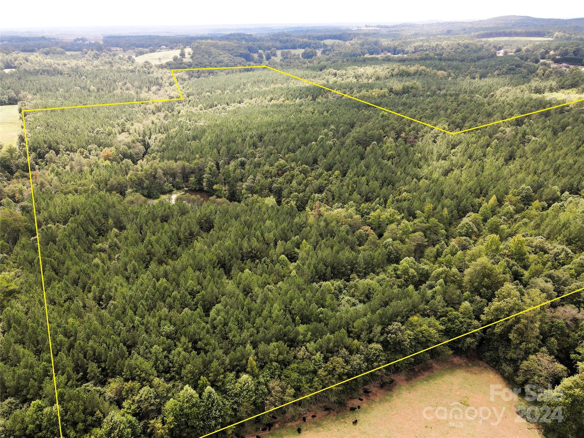 5 Stroud Road Ellenboro, NC 28040 - Photo 21 of 44