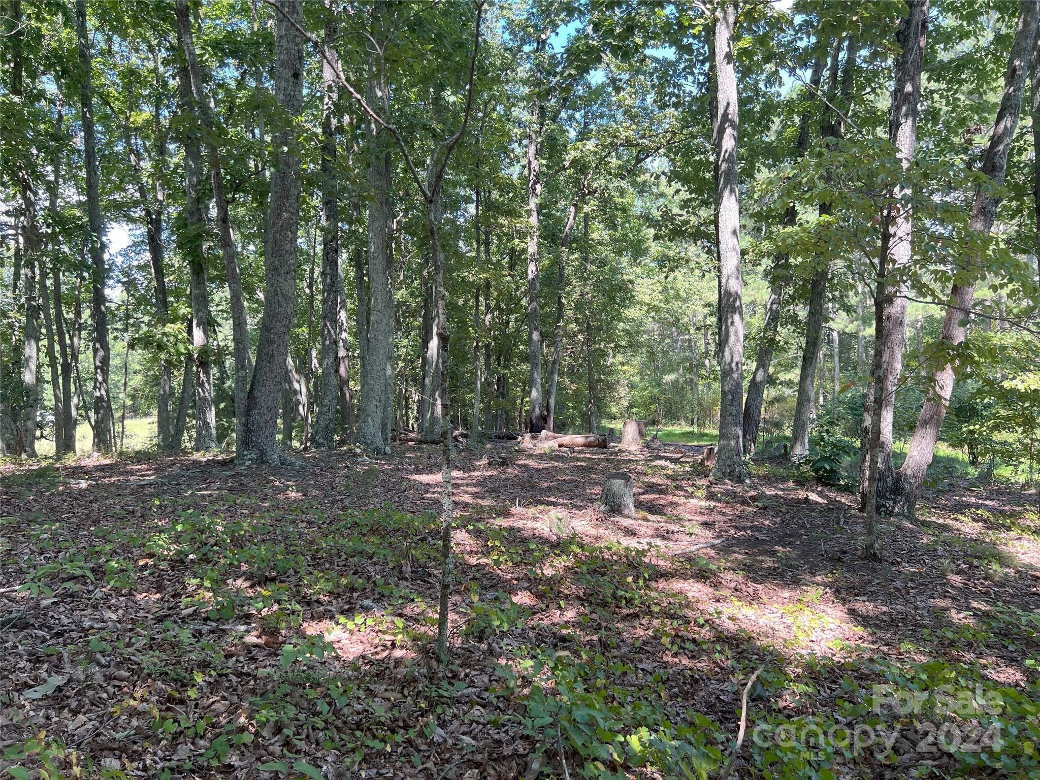 5 Stroud Road Ellenboro, NC 28040 - Photo 23 of 44