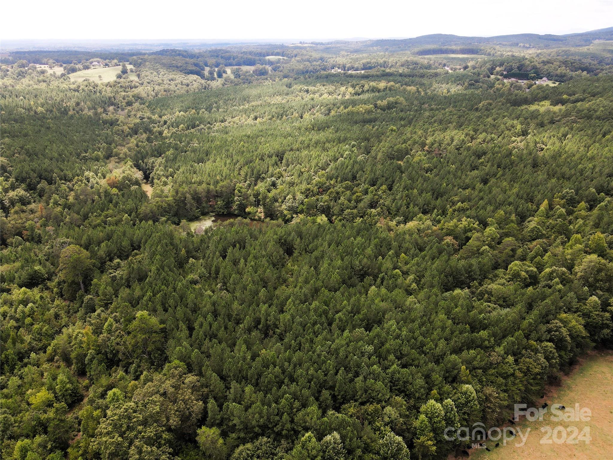 5 Stroud Road Ellenboro, NC 28040 - Photo 24 of 44