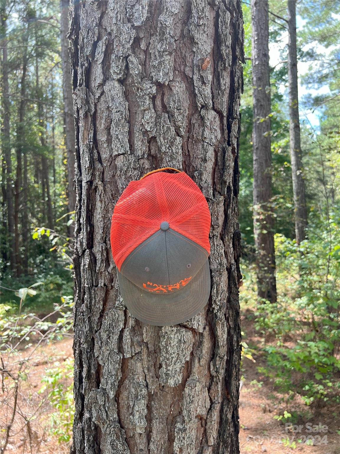 5 Stroud Road Ellenboro, NC 28040 - Photo 29 of 44