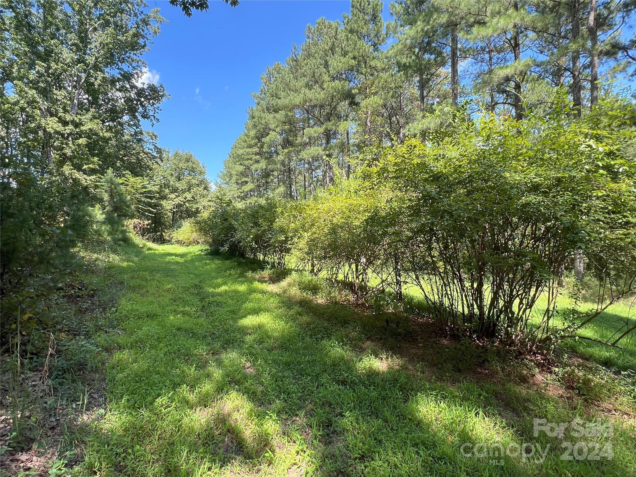 5 Stroud Road Ellenboro, NC 28040 - Photo 30 of 44