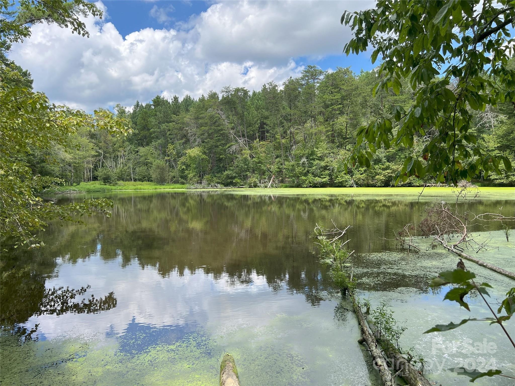 5 Stroud Road Ellenboro, NC 28040 - Photo 3 of 44